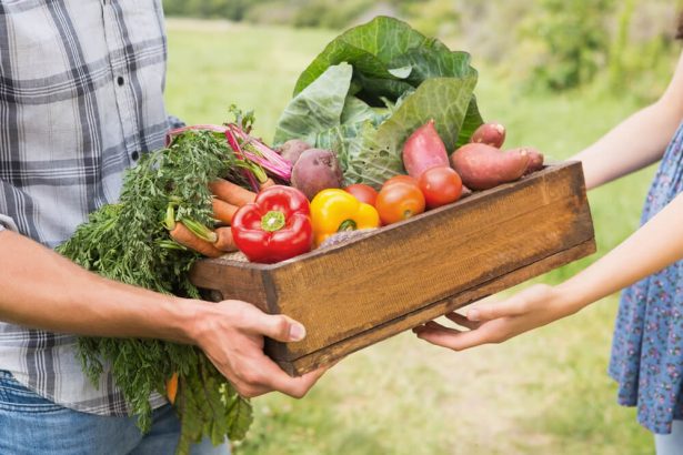 fruits et légumes récoltés localement