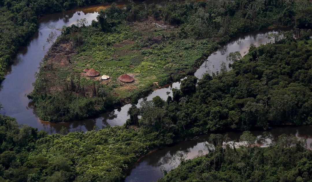 Avancée record de l’orpaillage illégal en territoire Yanomami au Brésil