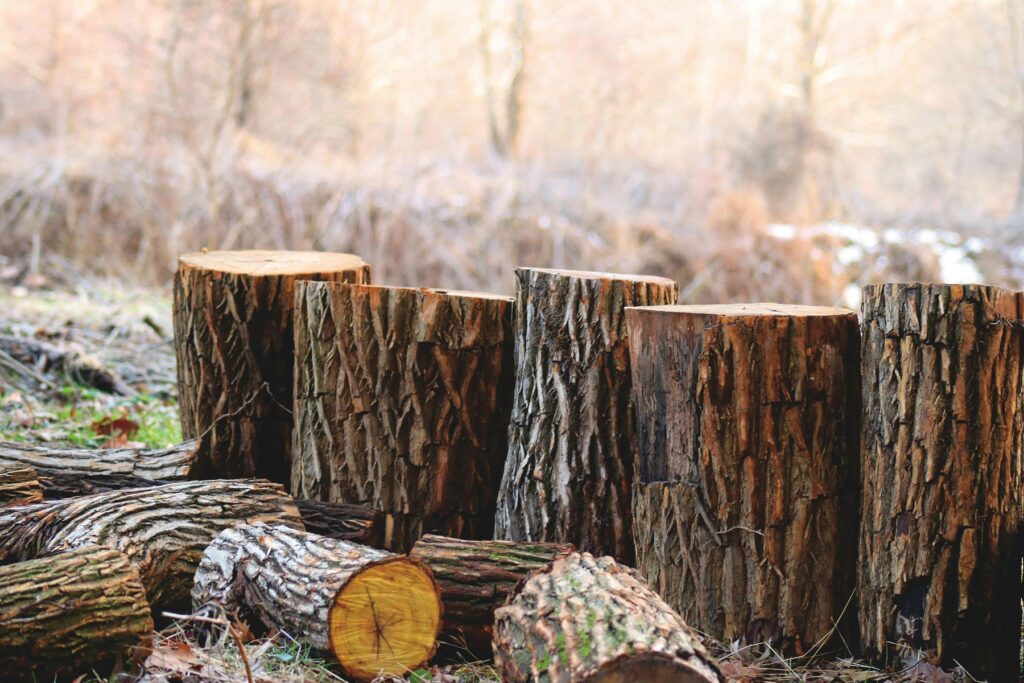le bois comme energie buches de bois