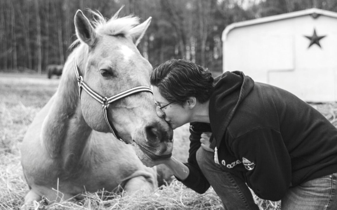 La colique chez le cheval, le spectre qui hante les écuries