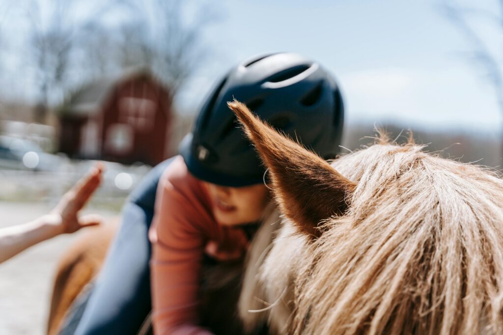 reprendre confiance a cheval