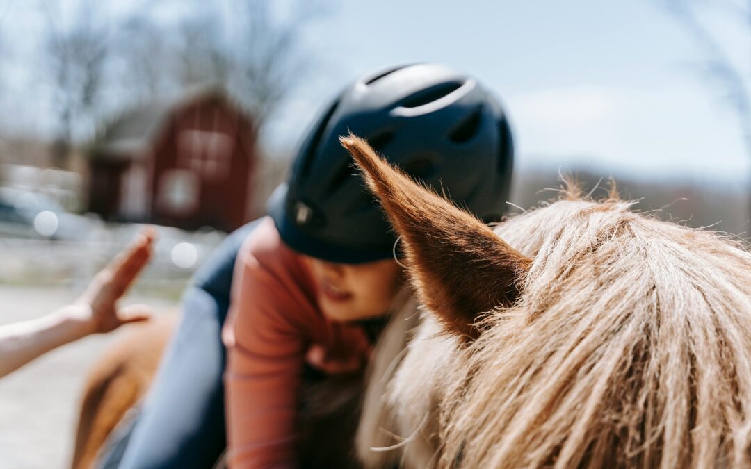 reprendre confiance a cheval